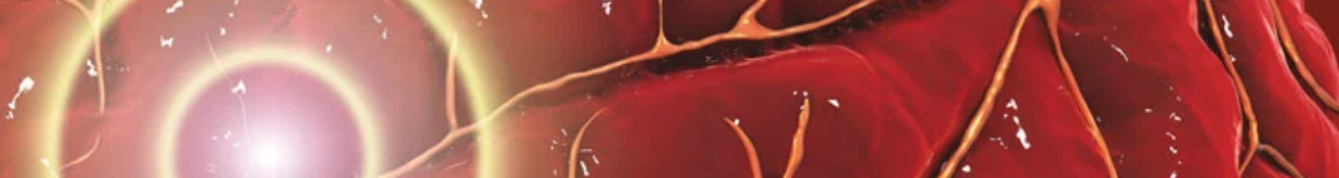 2026 EEH Neuroscience Grand Rounds ENDURING: Neuro-Endovascular Advances - Lessons from the Past, Practice Today, and the Road Ahead Banner